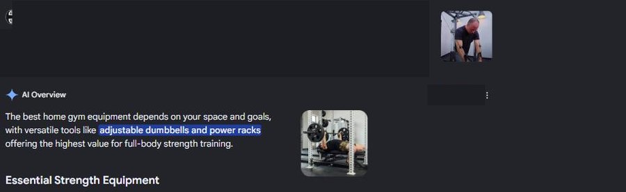 Google AI Overview for a home gym equipment query, publisher names redacted
